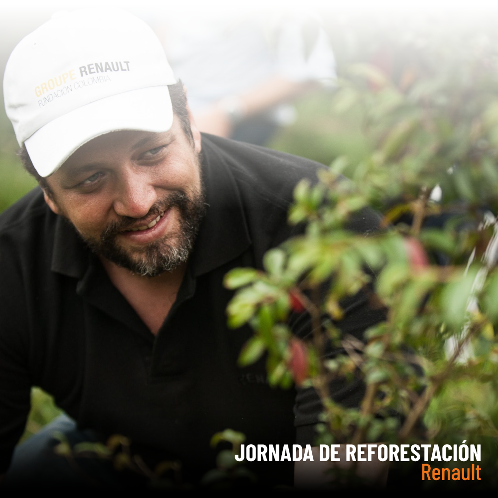 Jornada de reforestacion